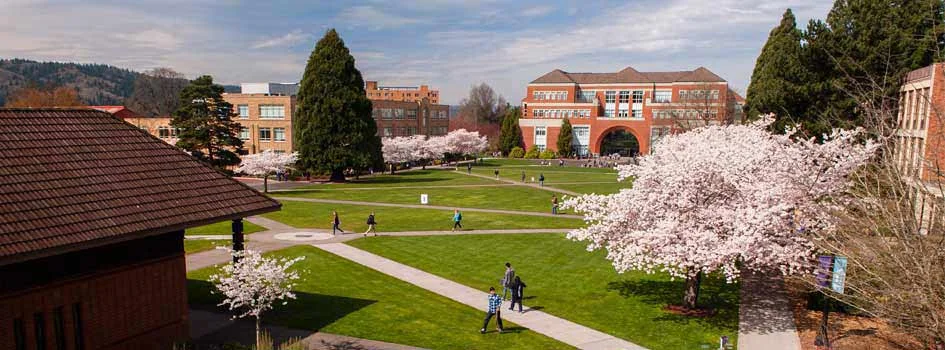 UPort_Beauty-on-The-Bluff-Header_945x350_WEB.JPG