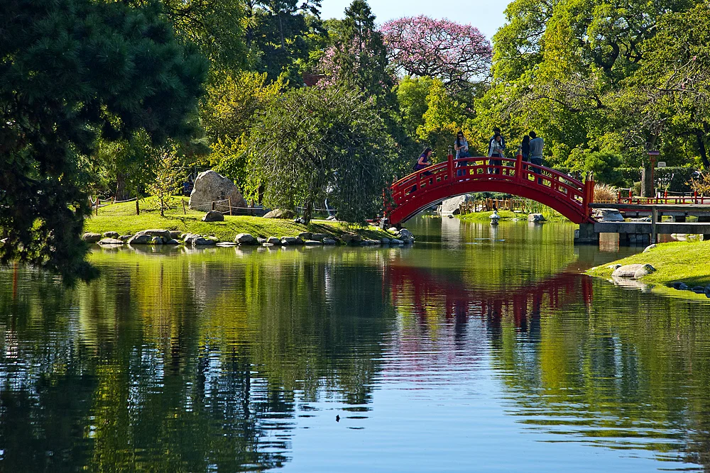 japanese-garden.jpeg