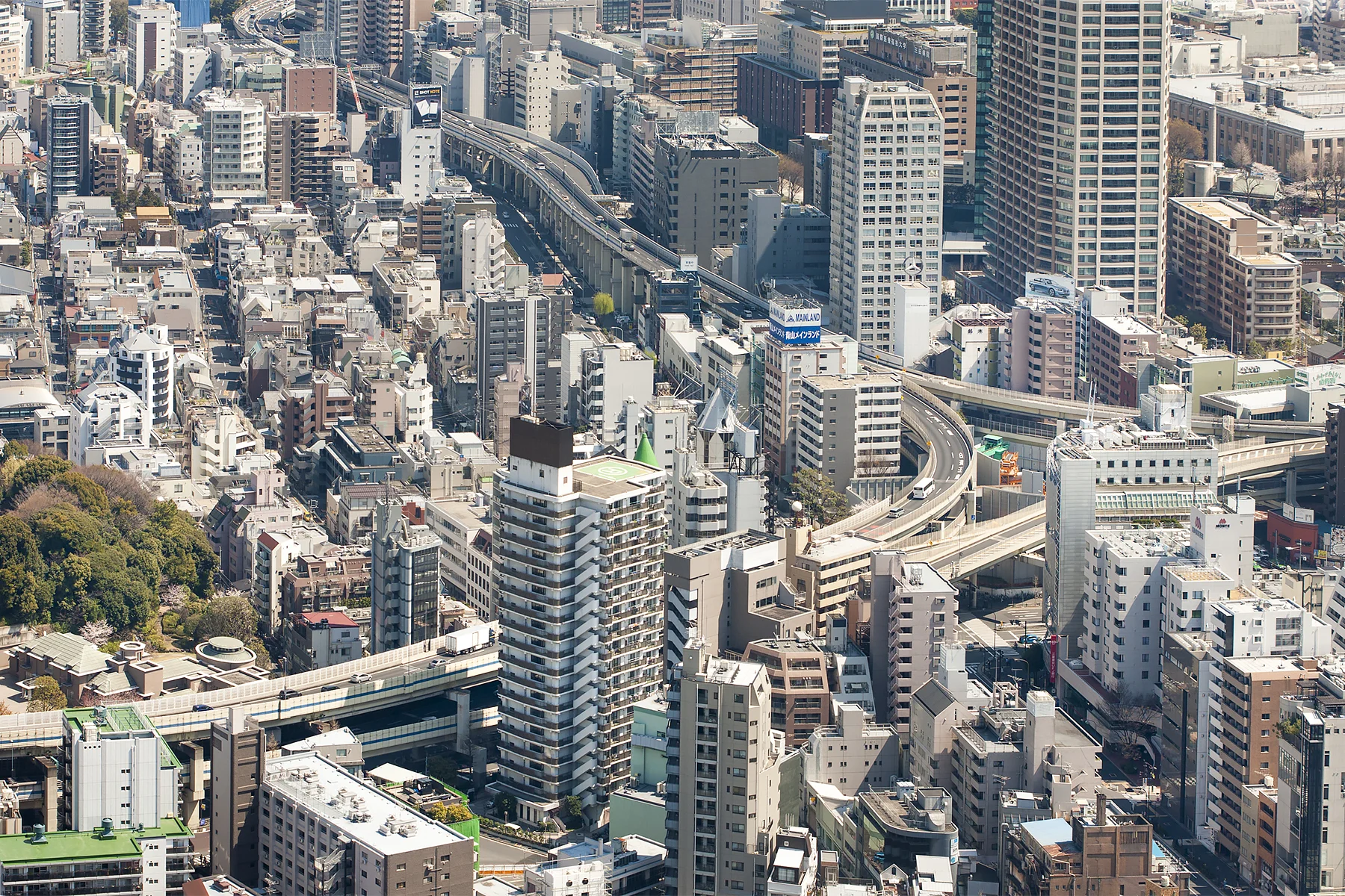 tokyosakurafestival-3.jpg