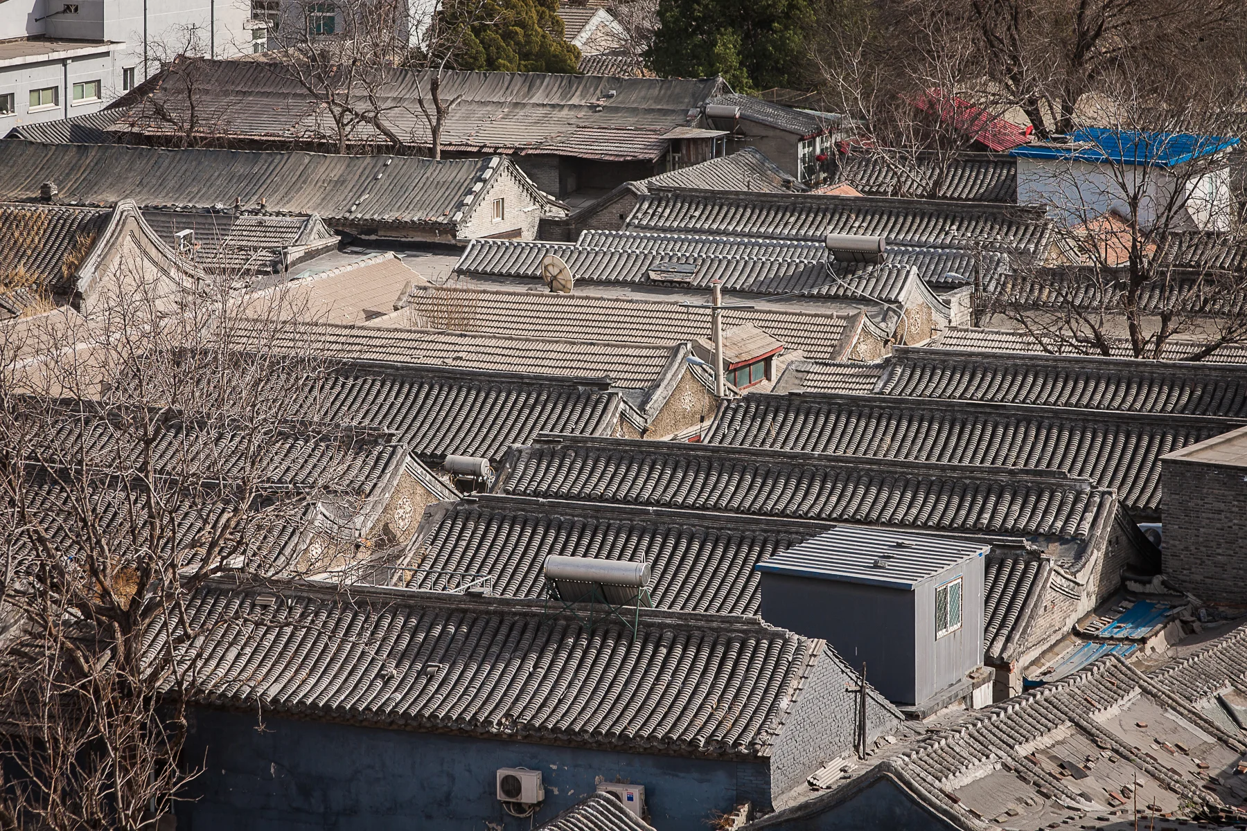 hutongroofsbeijing.jpg