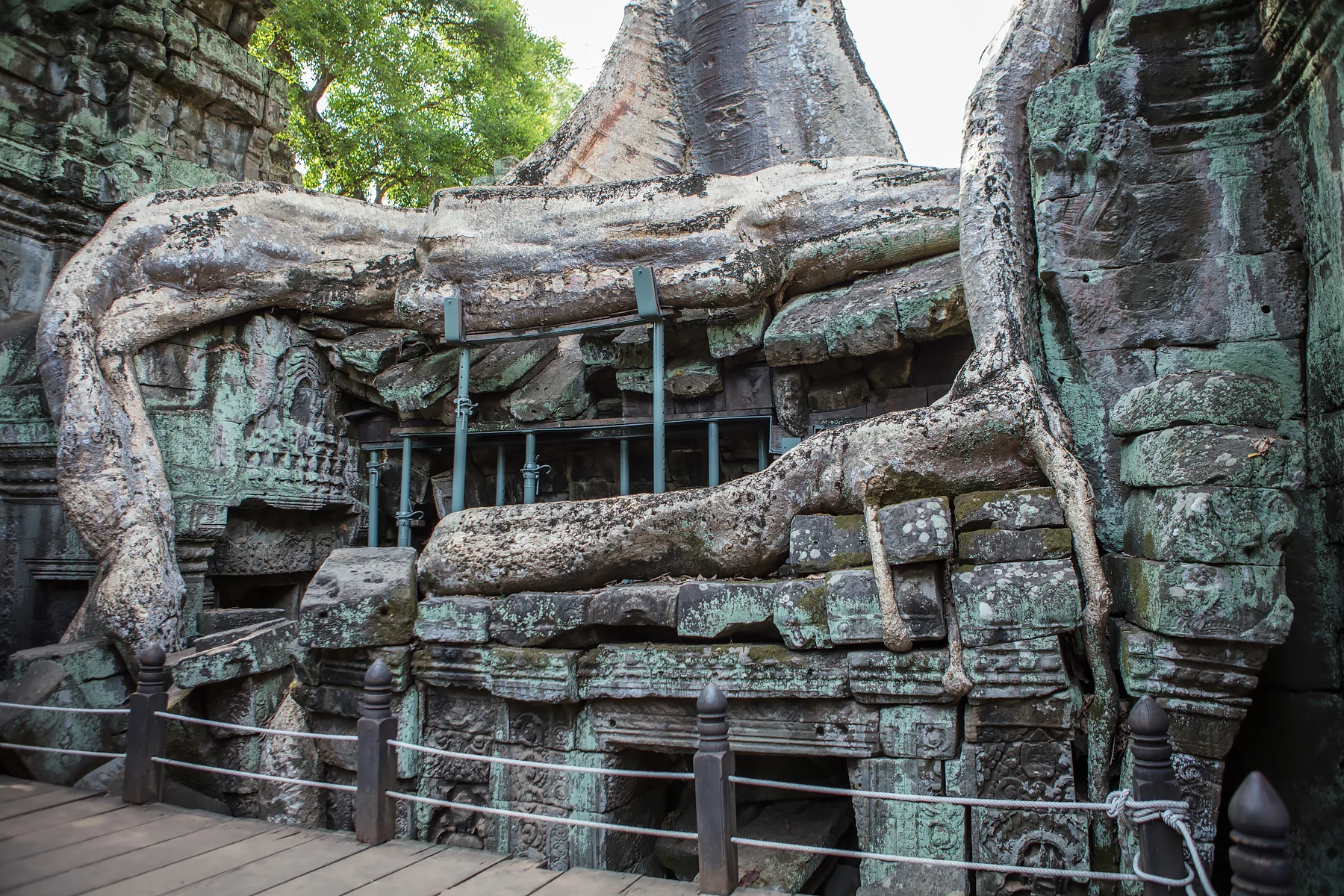 taprohm-1.jpg