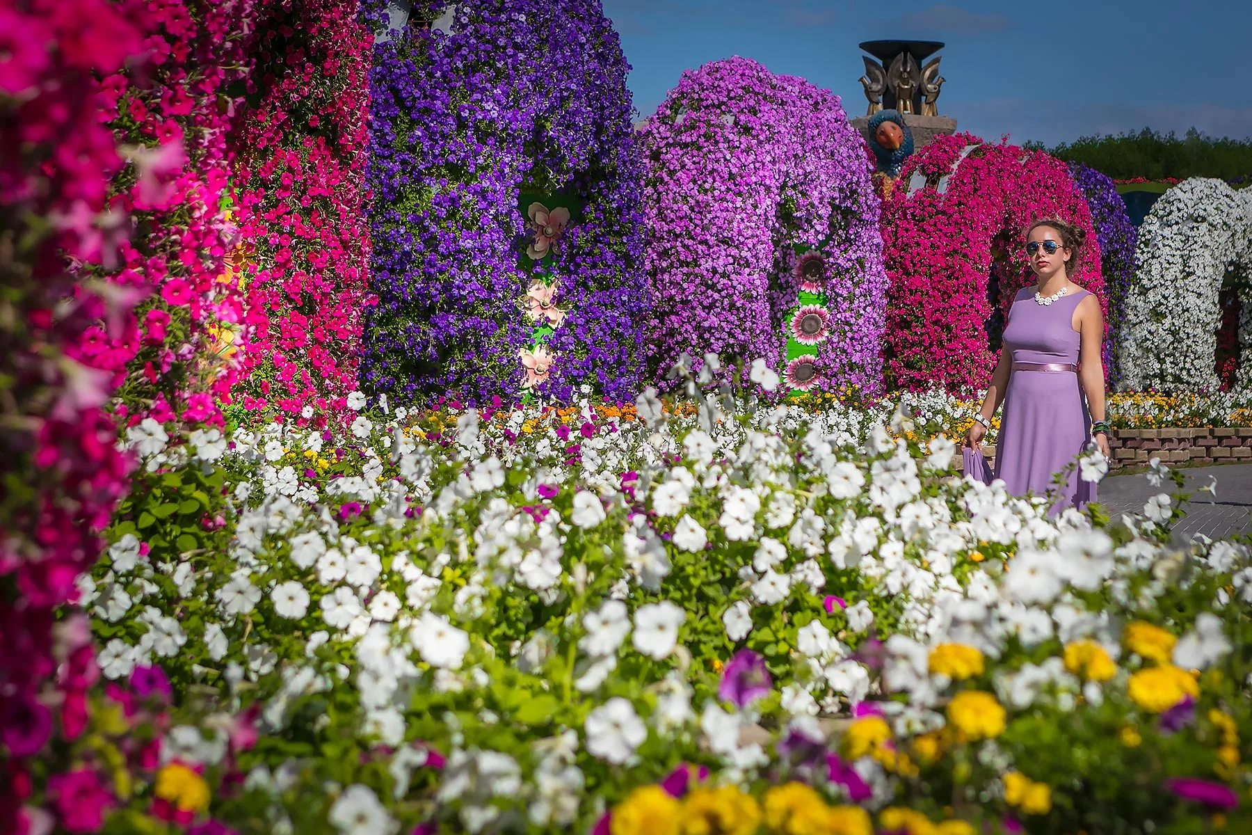 dubai-miraclegarden-1.jpg