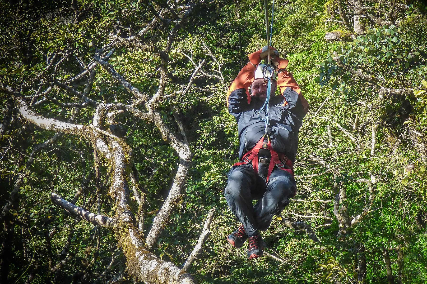 OriginalCanopyTourCostaRica.jpg