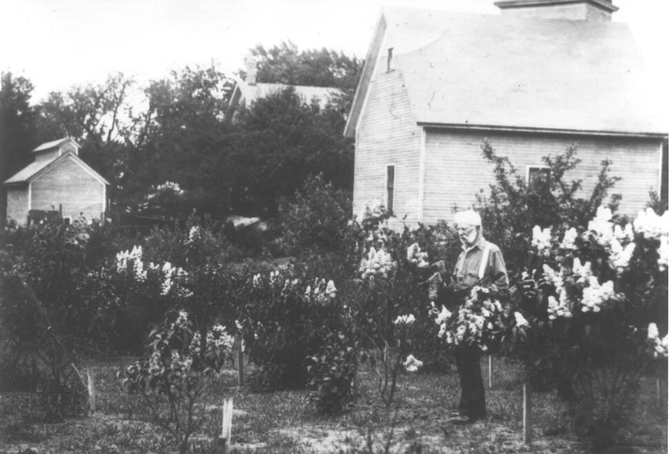 COl. Plum and his Lilacs, c. 1900s.