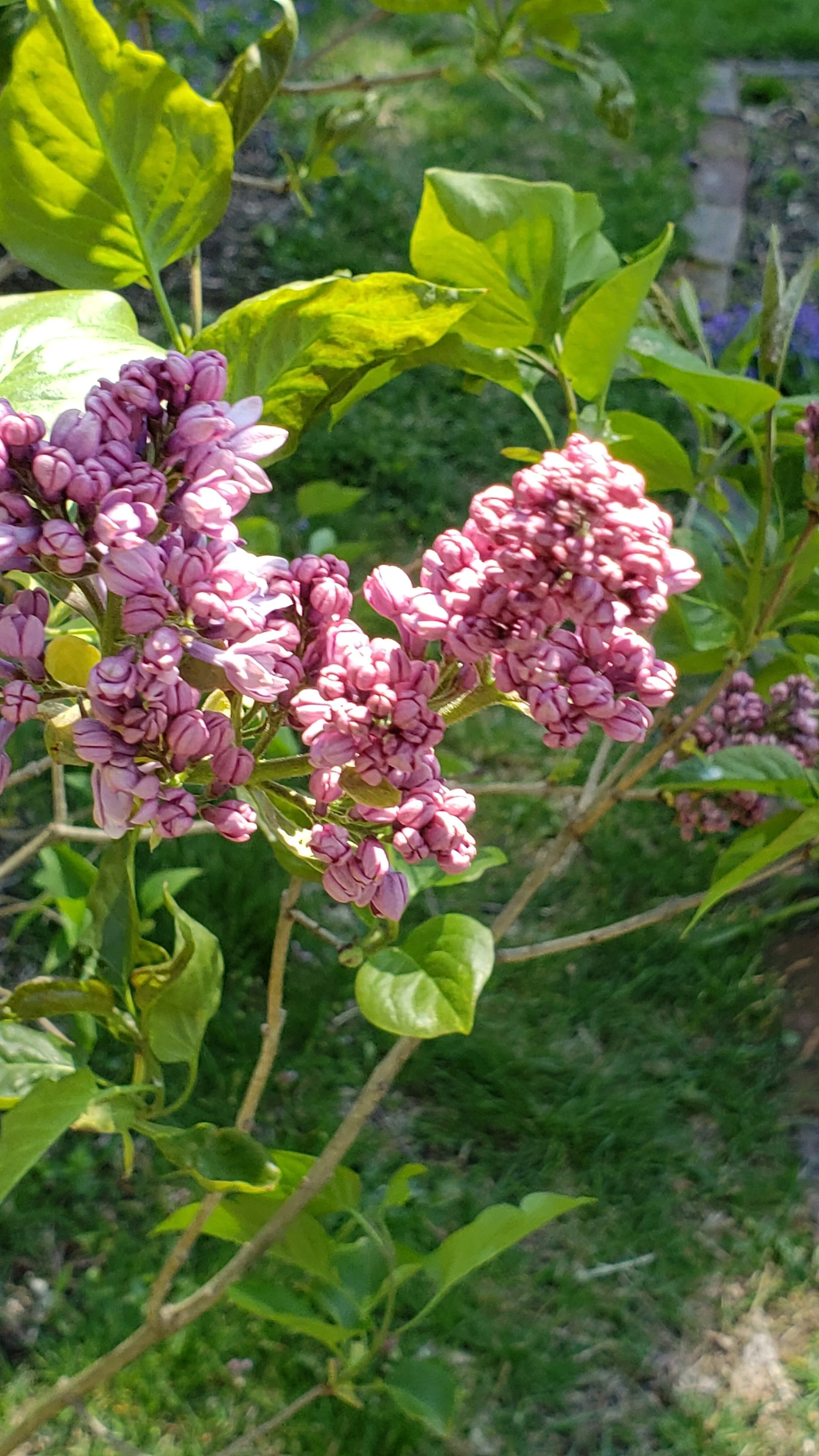 20200507_120643.jpg