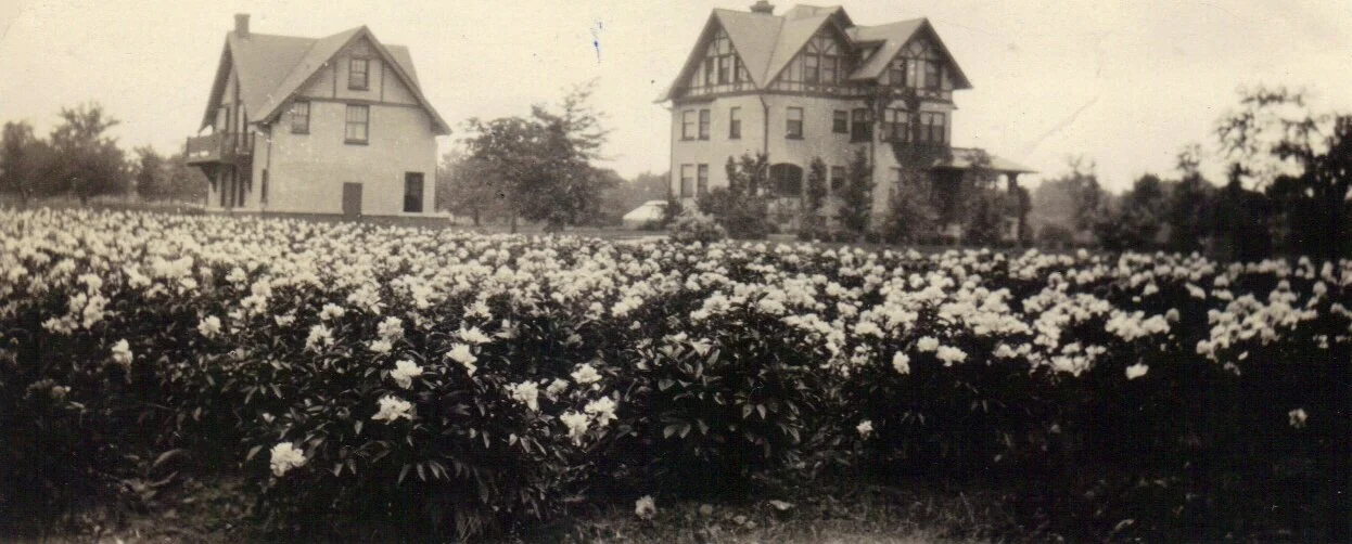 A Look at Hidden House