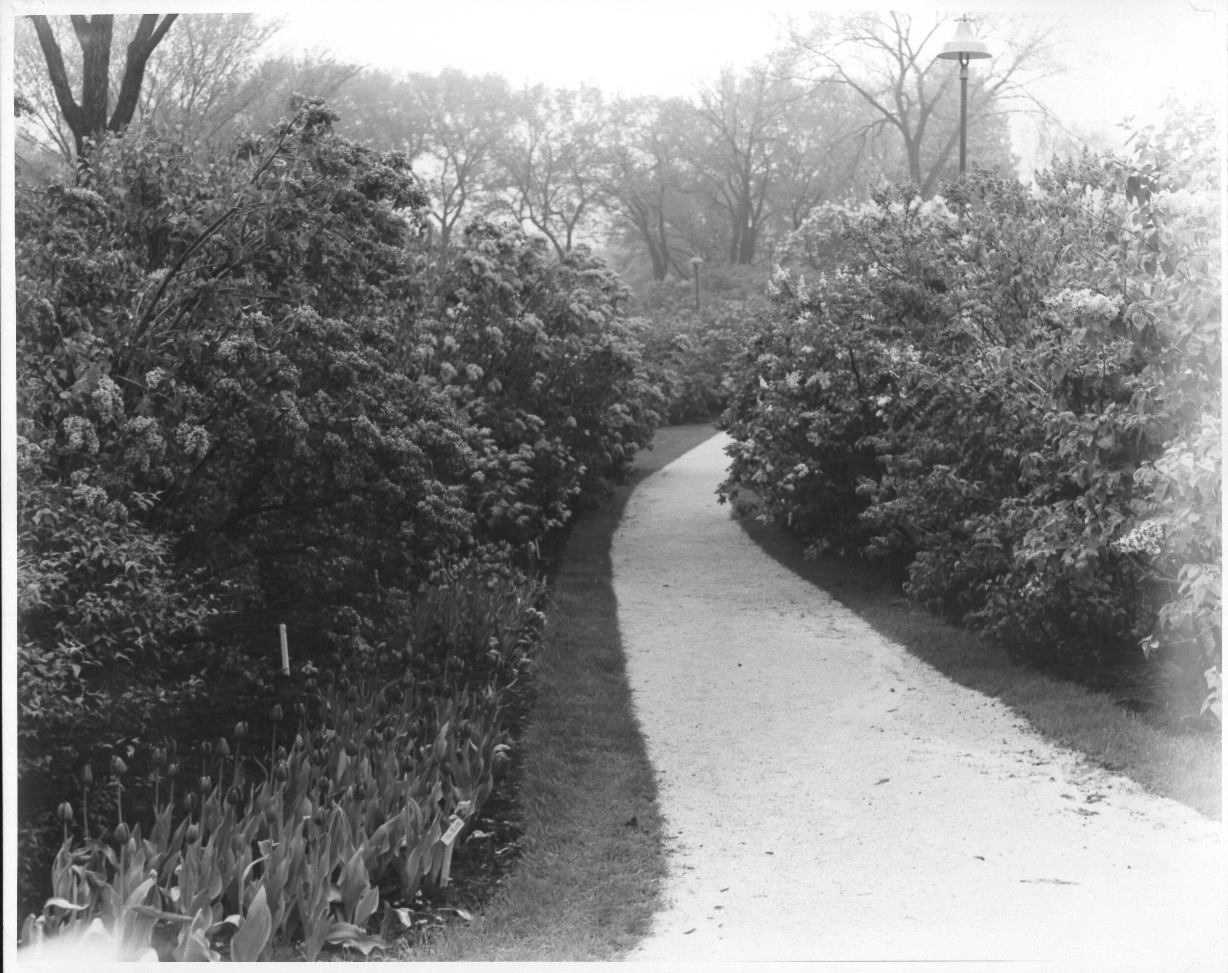 Lilacia Park, c. 1940s.