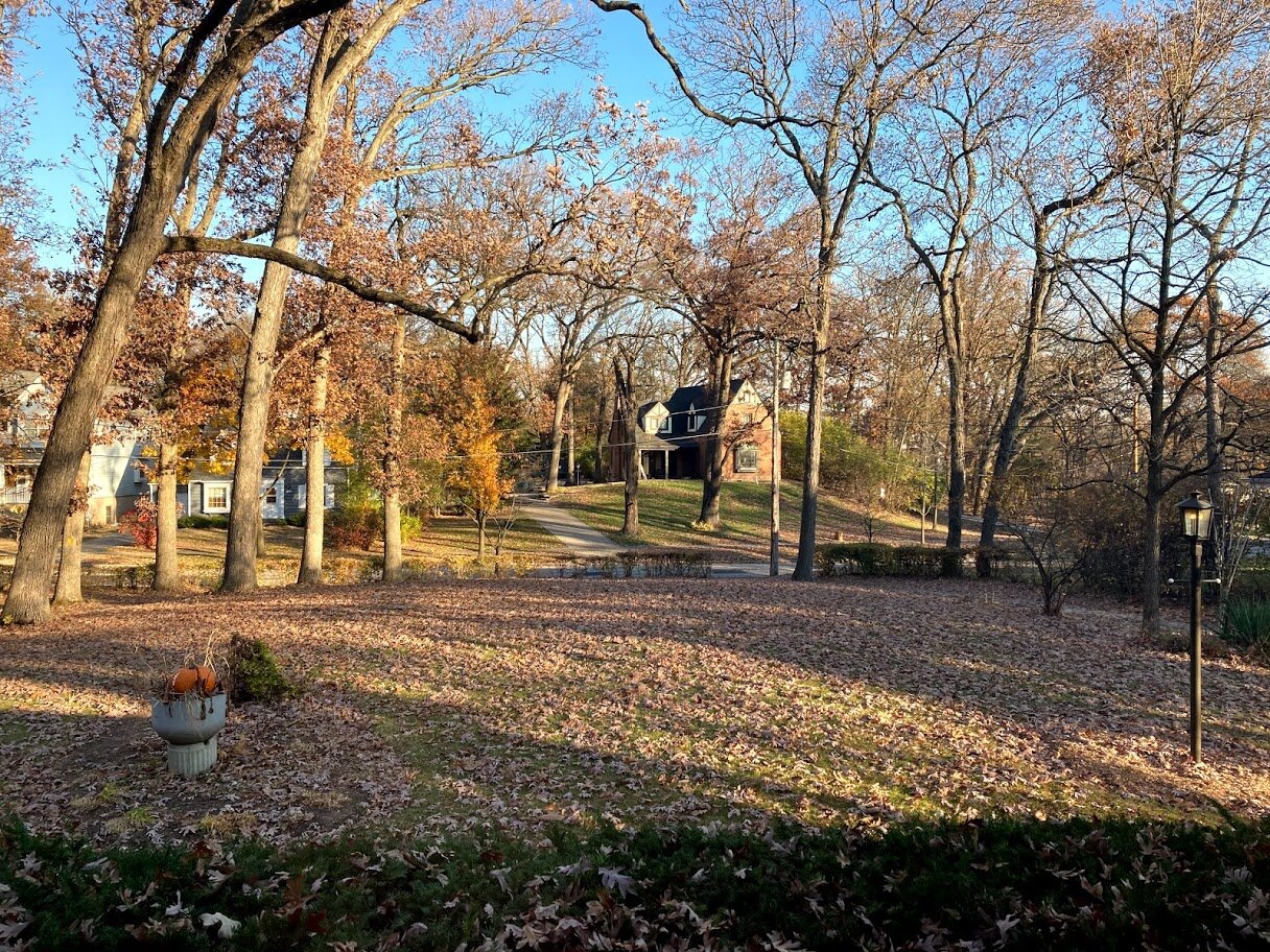 Autumn View_Front Yard.jpg