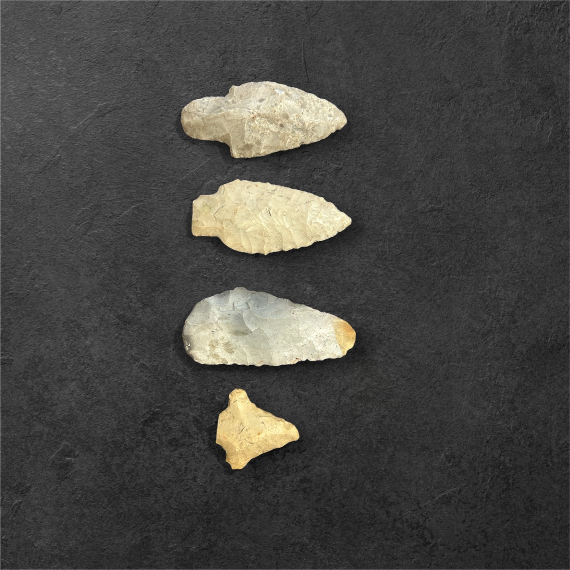 Establishing the Oldest Date of Human Activity in Lombard with the Illinois State Archaeologist 