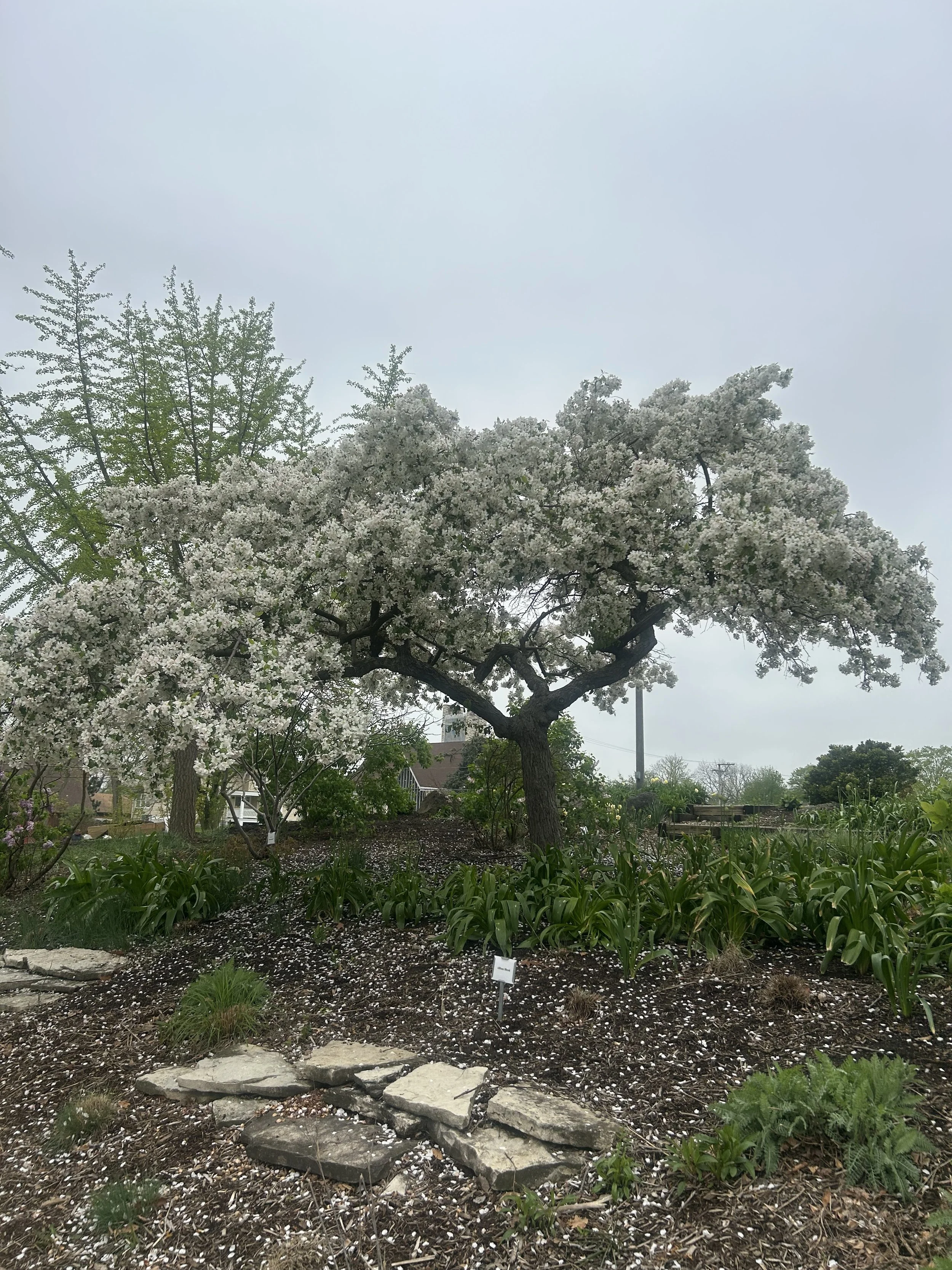 Photo May 02 2025, 10 58 40 AM.jpg