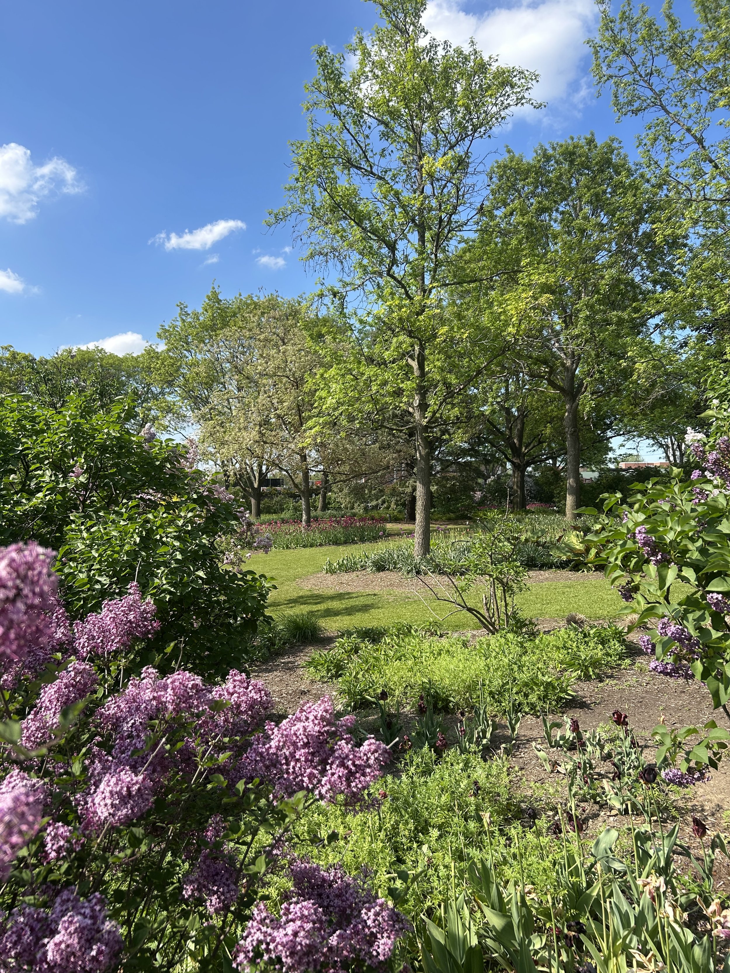 Photo May 14 2025, 4 11 33 PM.jpg