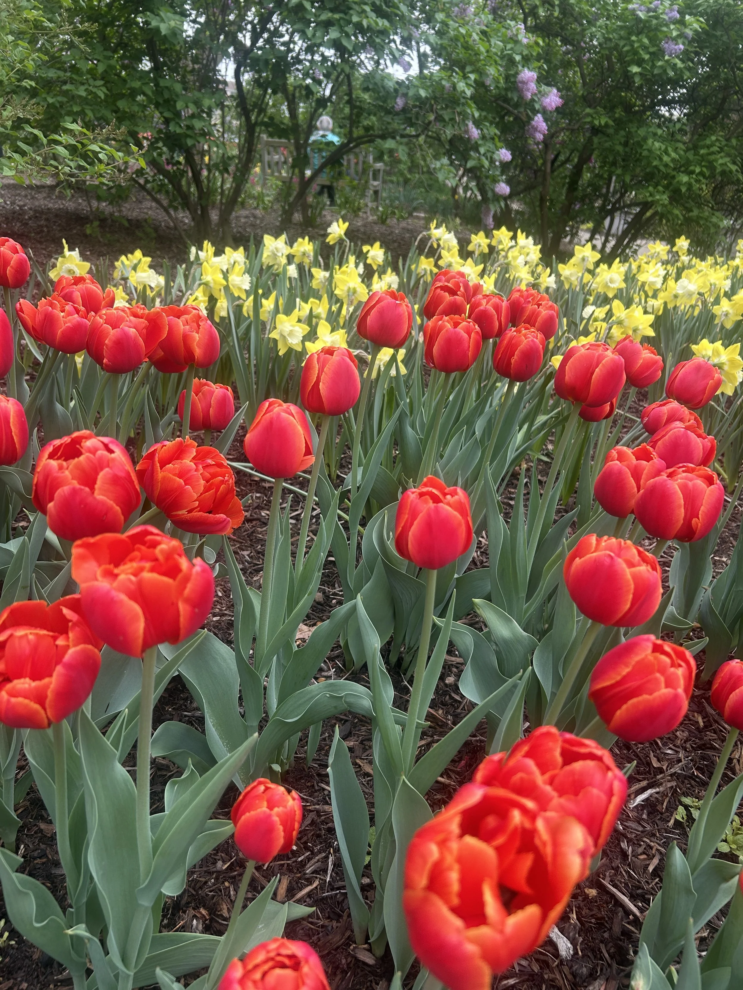 Photo May 02 2025, 10 51 56 AM.jpg