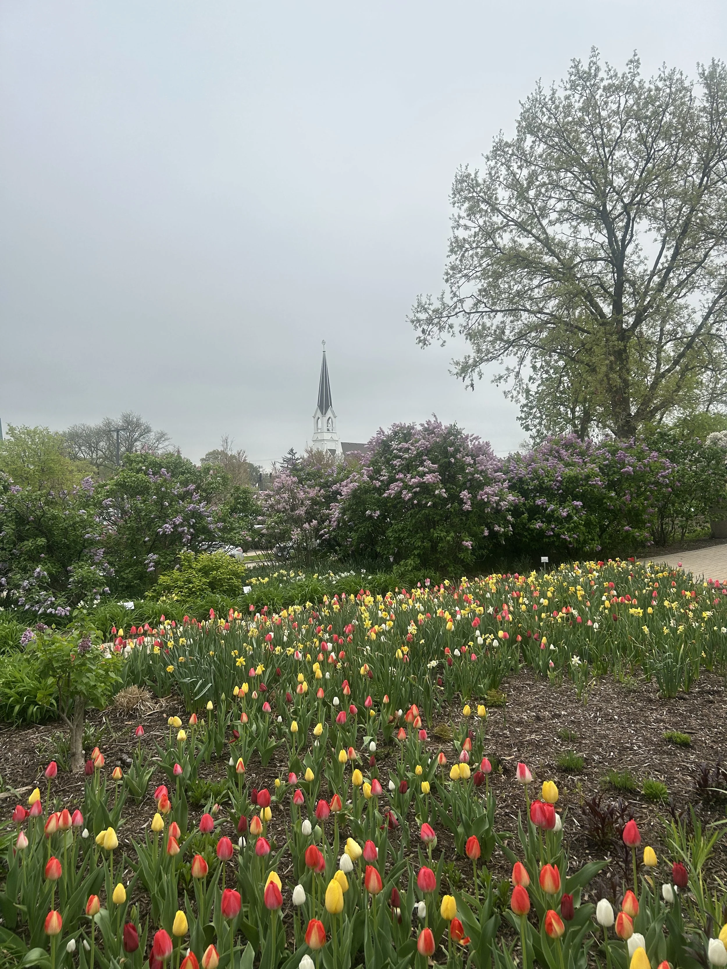 Photo May 02 2025, 10 47 16 AM.jpg