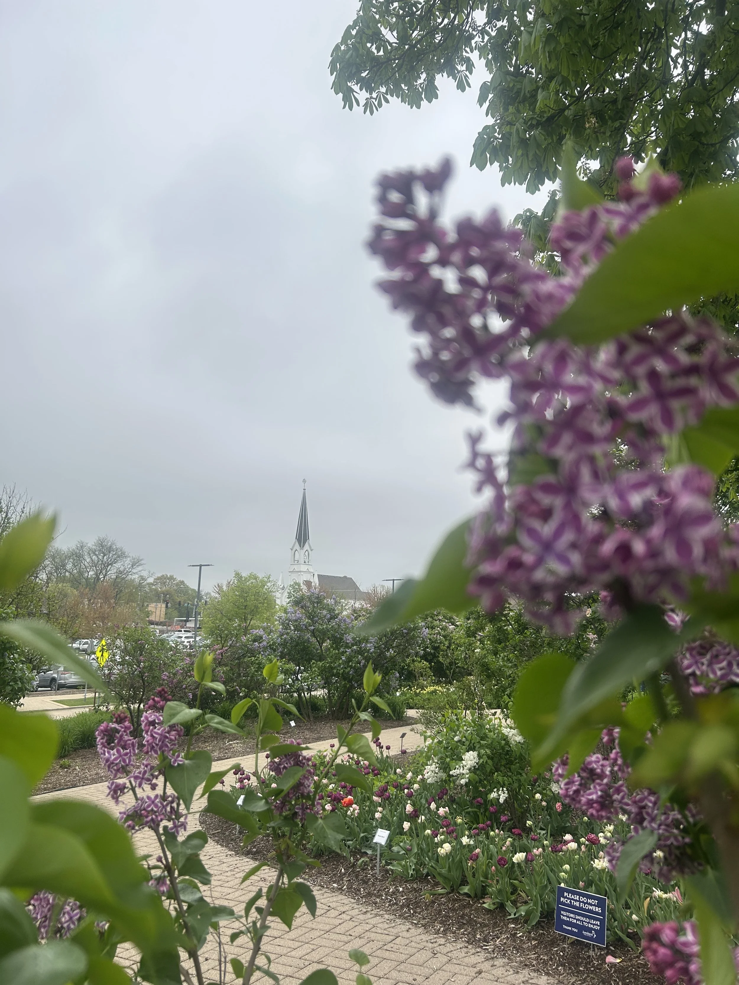 Photo May 02 2025, 10 52 53 AM.jpg