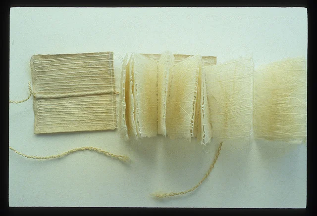 Codex For The Love of Leaves 1978