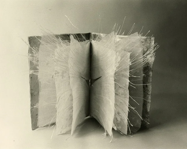 Flight Wings 1979 – Collection of the Bibliotheque, Paris, France