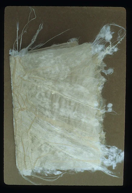 Silk Leaves – 1978