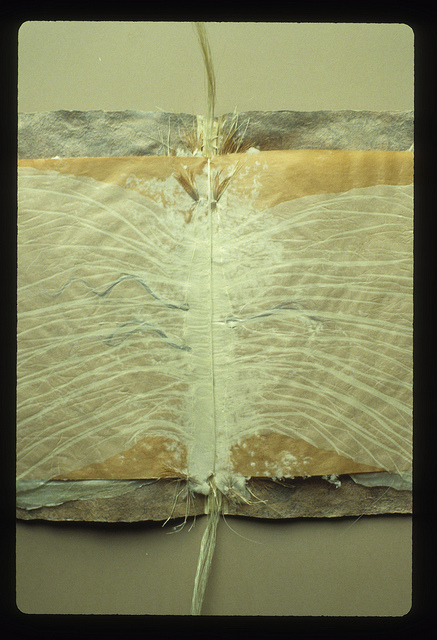 Persimmon Flight – 1979