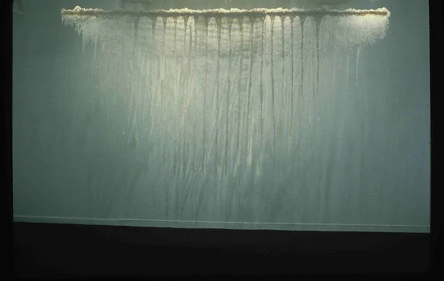 Wind Feathers – in Getler/Pall Gallery, NYC 1982