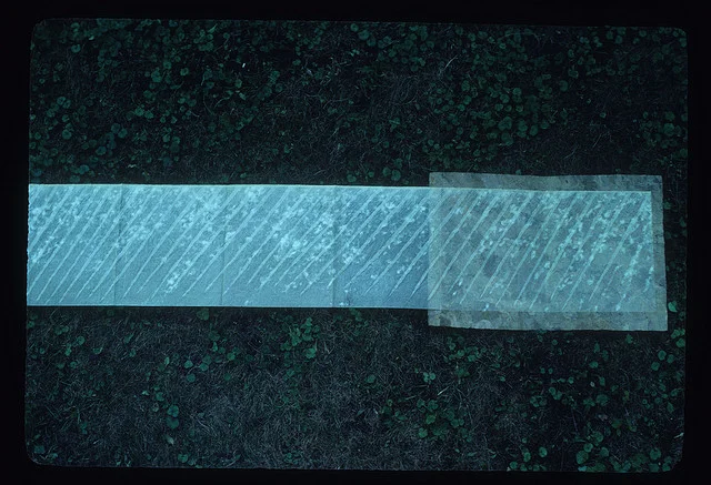 Spring Rain, Opened – 1979