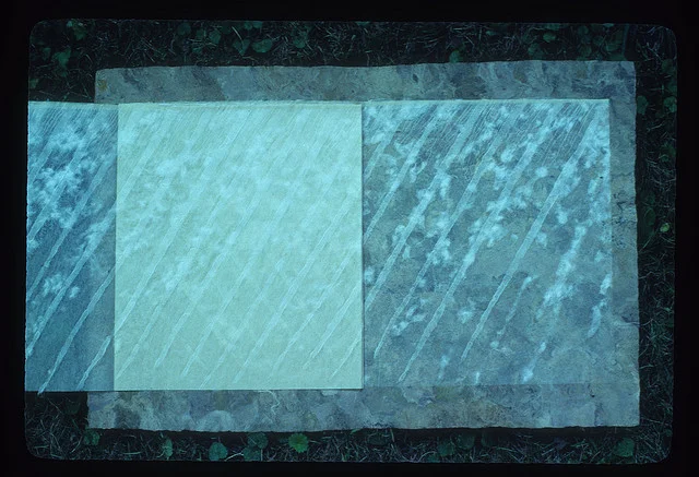 Spring Rain – 1979