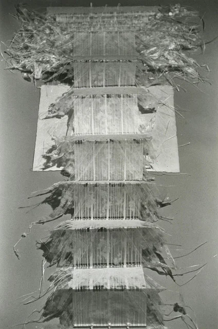 Feather Book 3