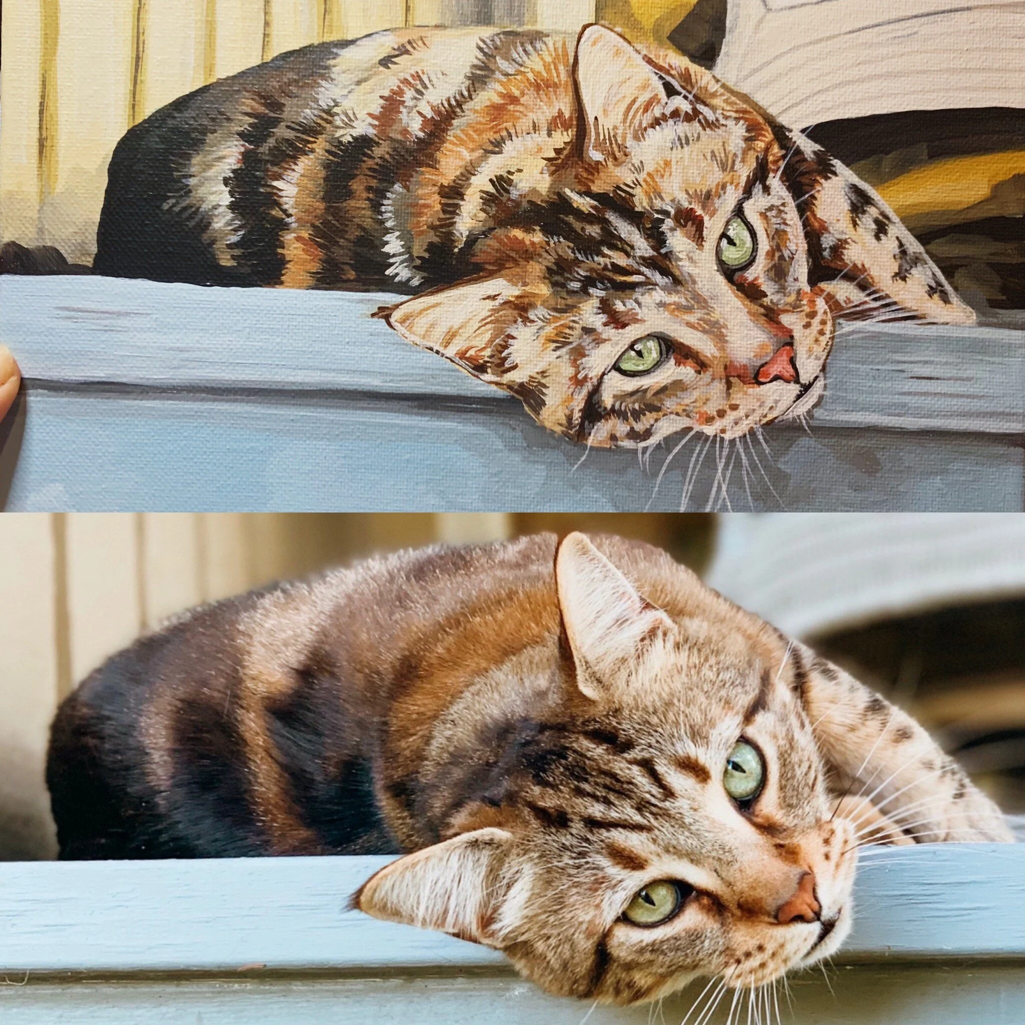 Mowgli