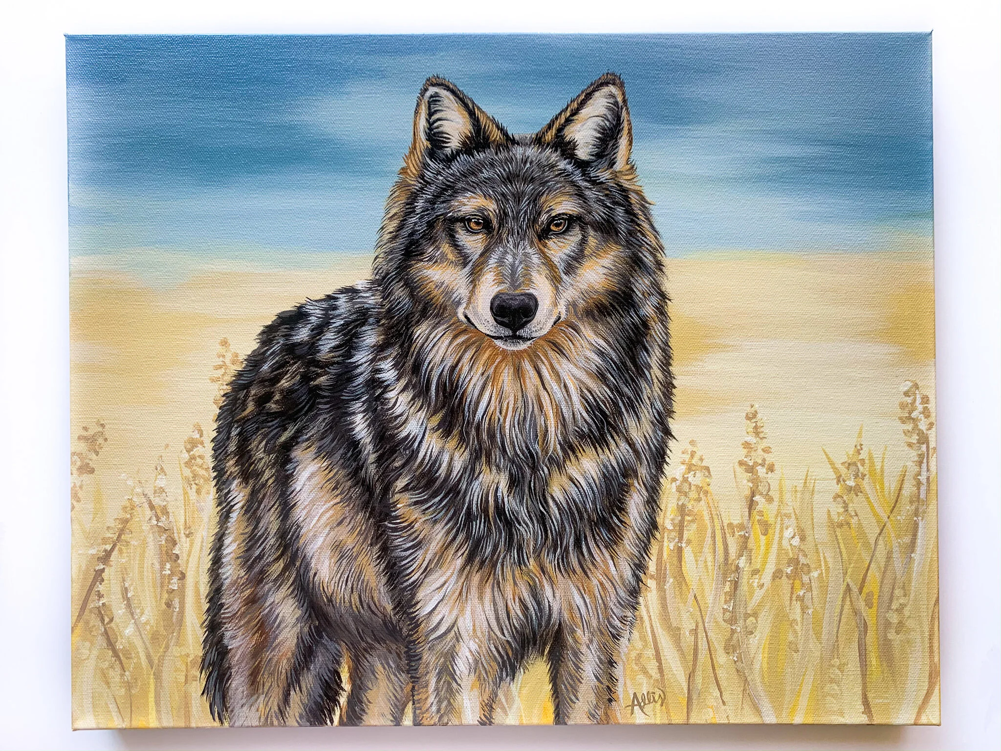 The Great BC Wolf, 16x20”, acrylic on canvas, 2020