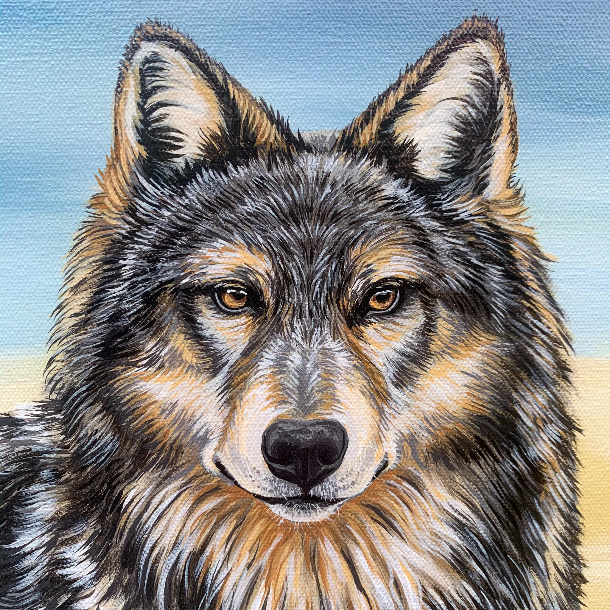 Wolf detail photo