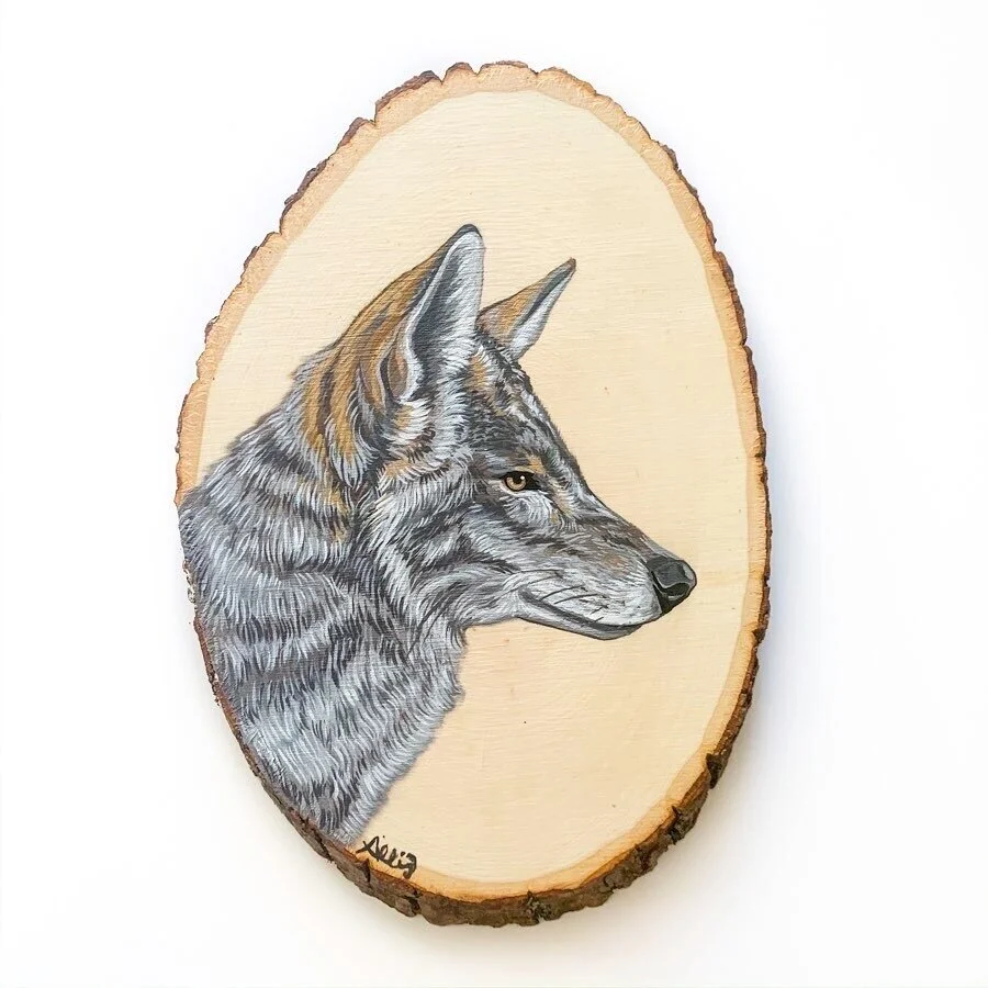 Coyote, Approx 11”, acrylic on wood, 2020