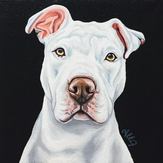 8x8Portrait.jpg