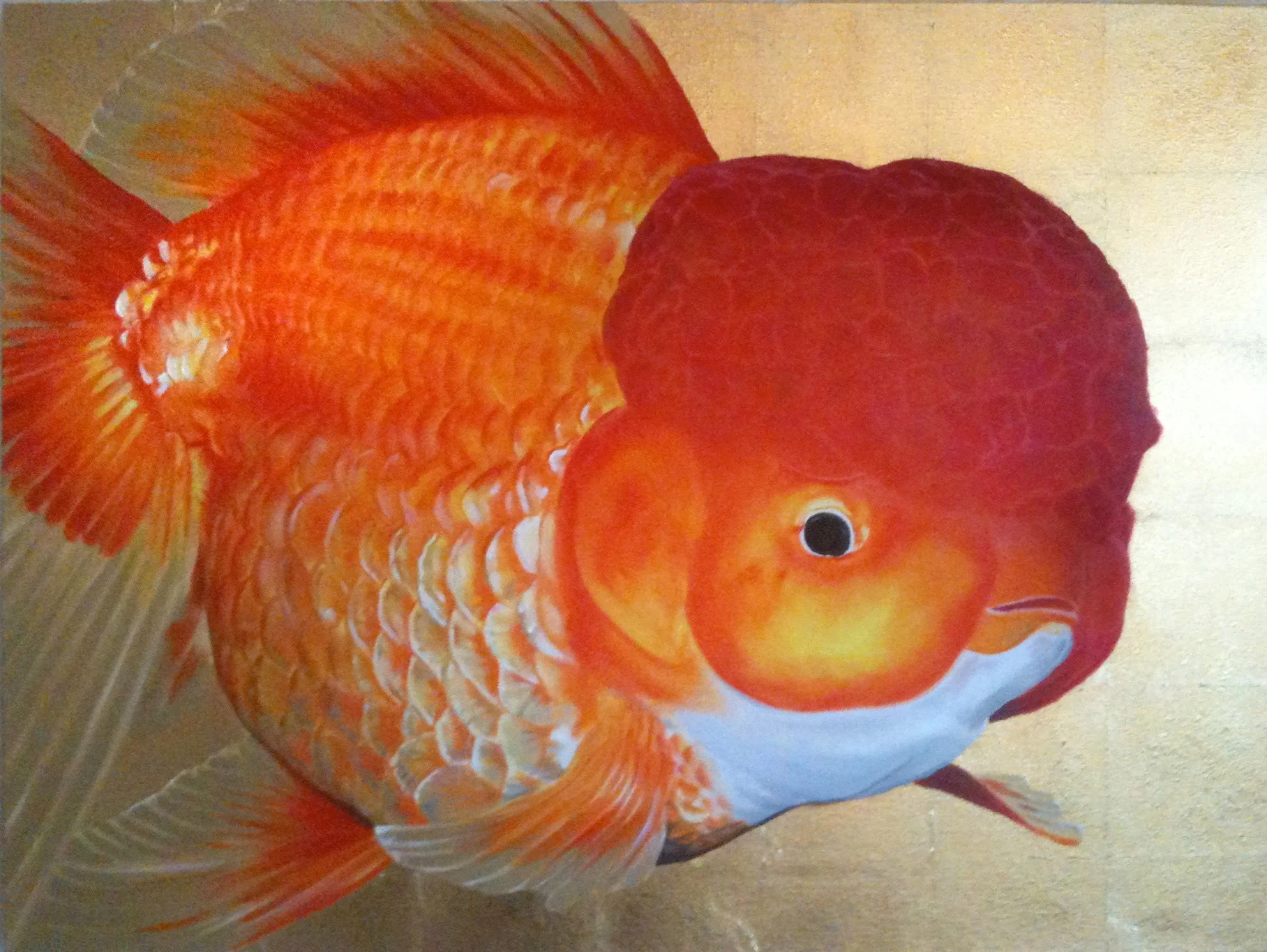big orange face.jpg