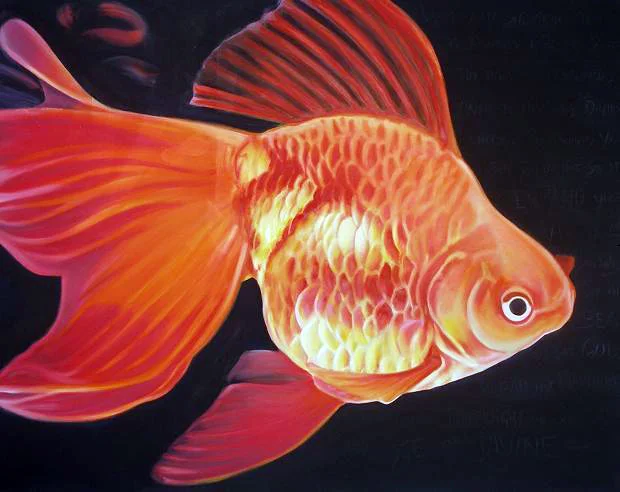 %22Myo - Goldfish.jpg