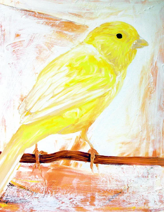 Bird.jpg