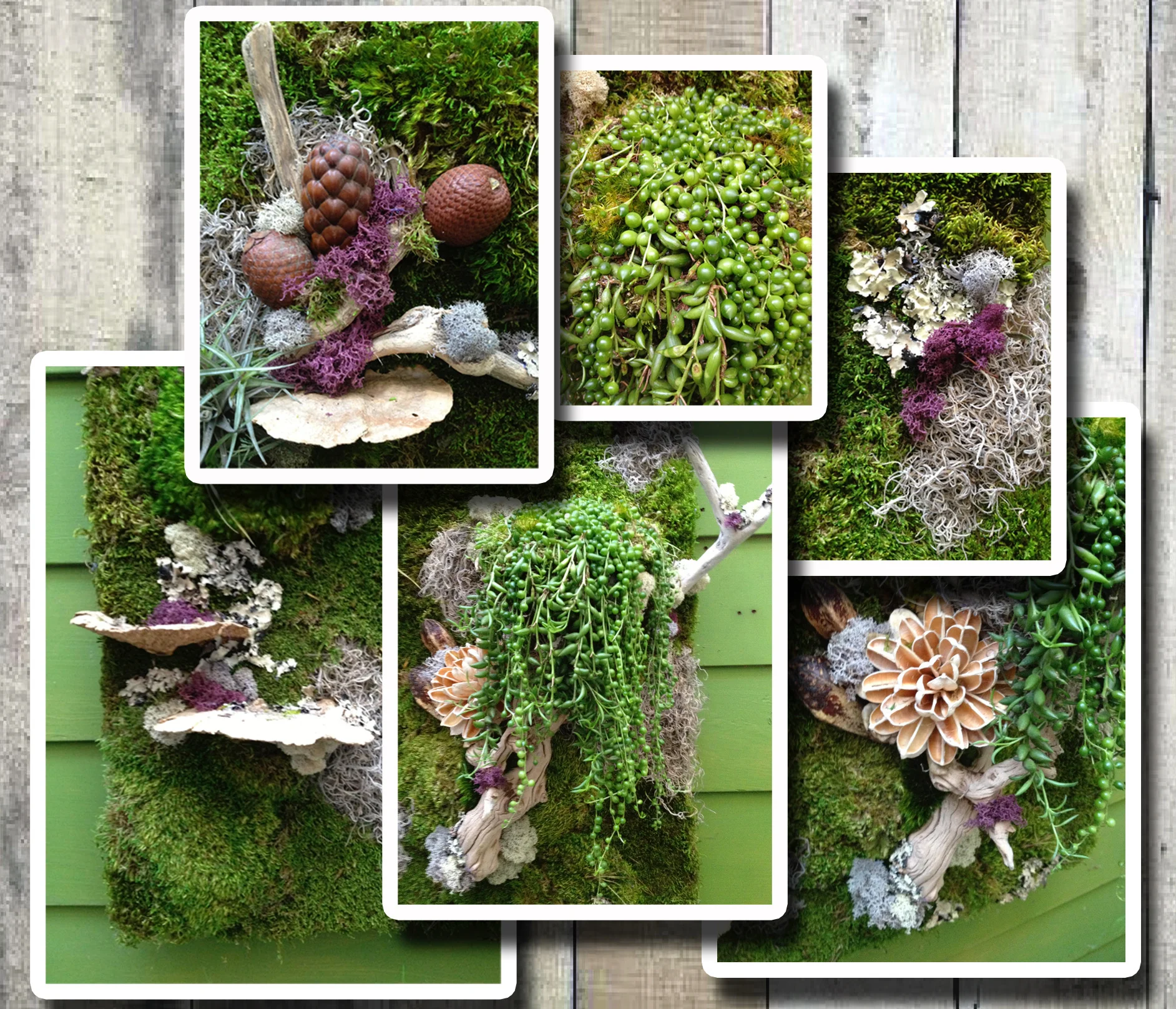Collage01.jpg