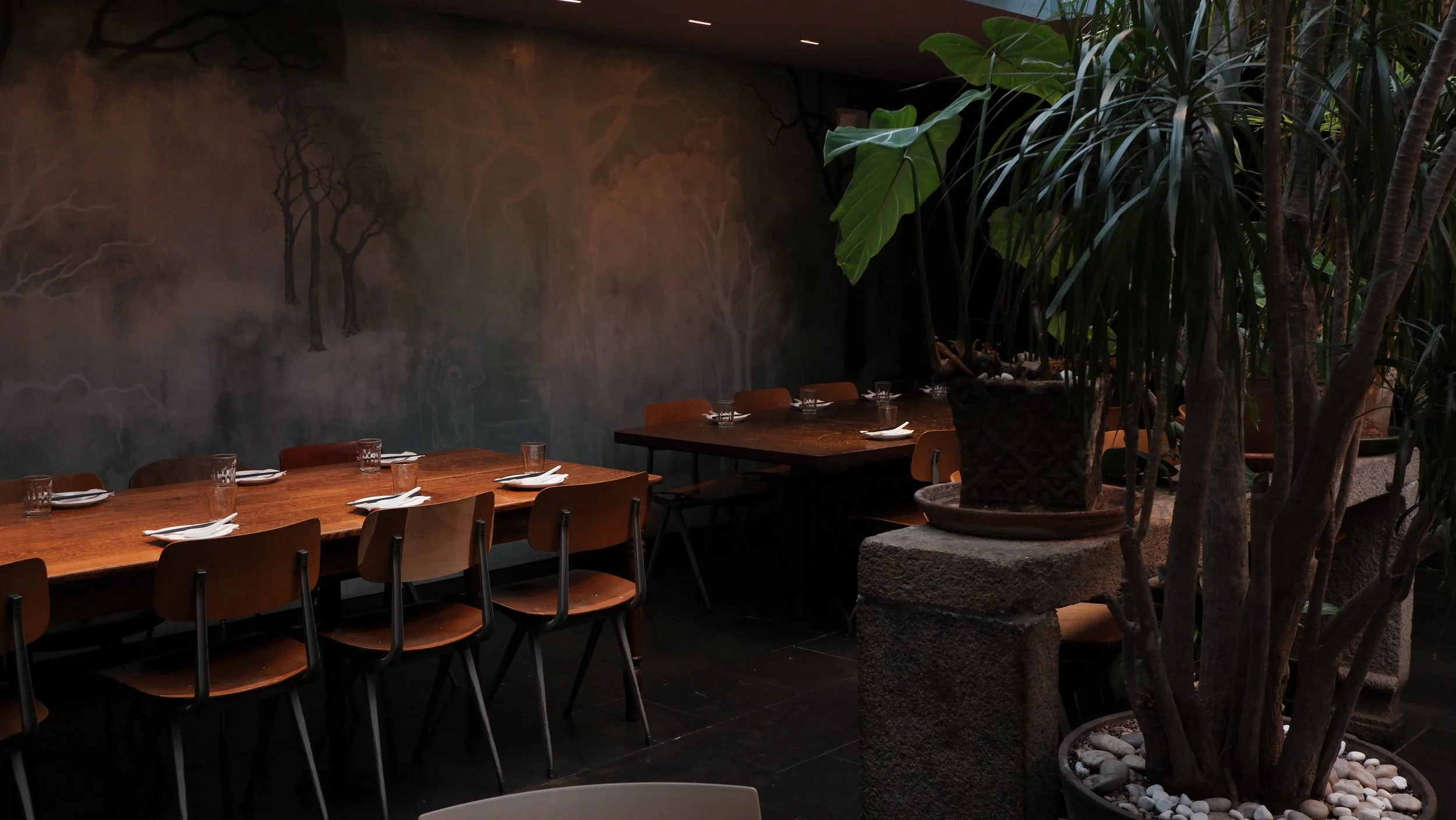 Hao Noodle - restaurant
