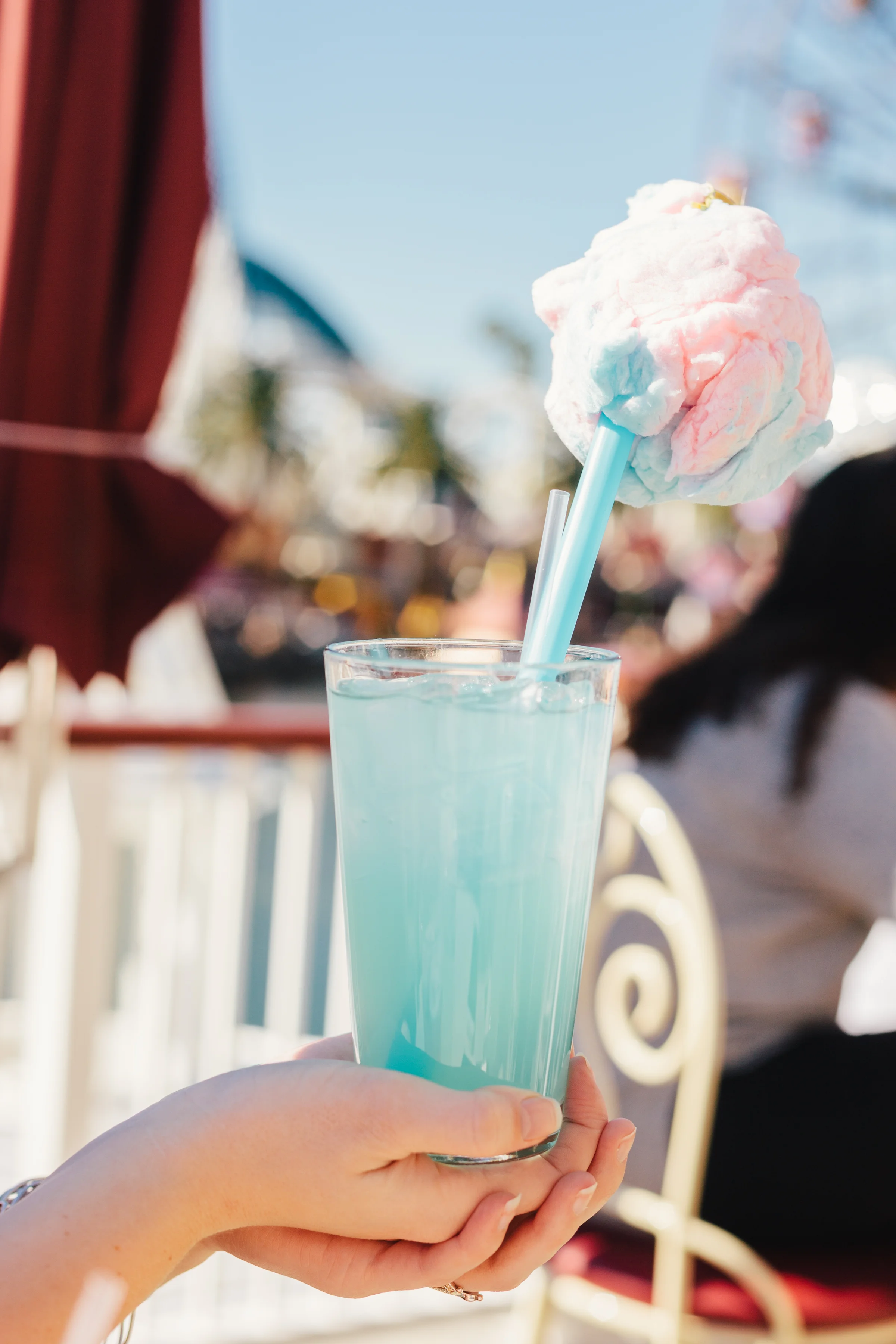 EricaWhitePhoto_2017Jan_Disneyland-9908.jpg