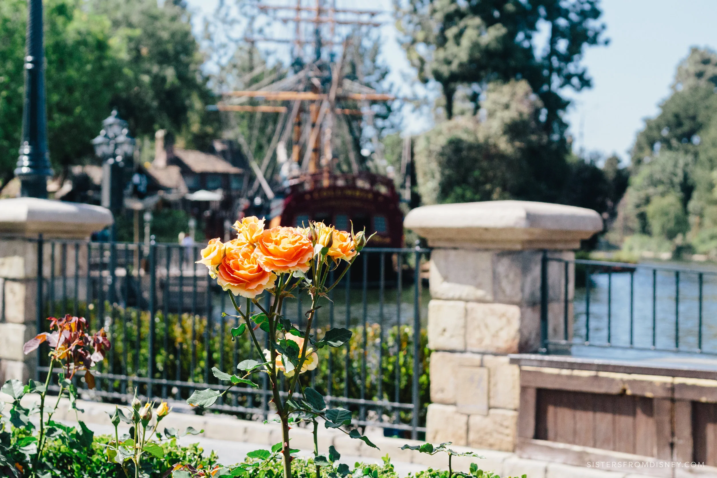 2018April_SFDblog_DisneylandApril_Jaycee_Watermark-2168.jpg
