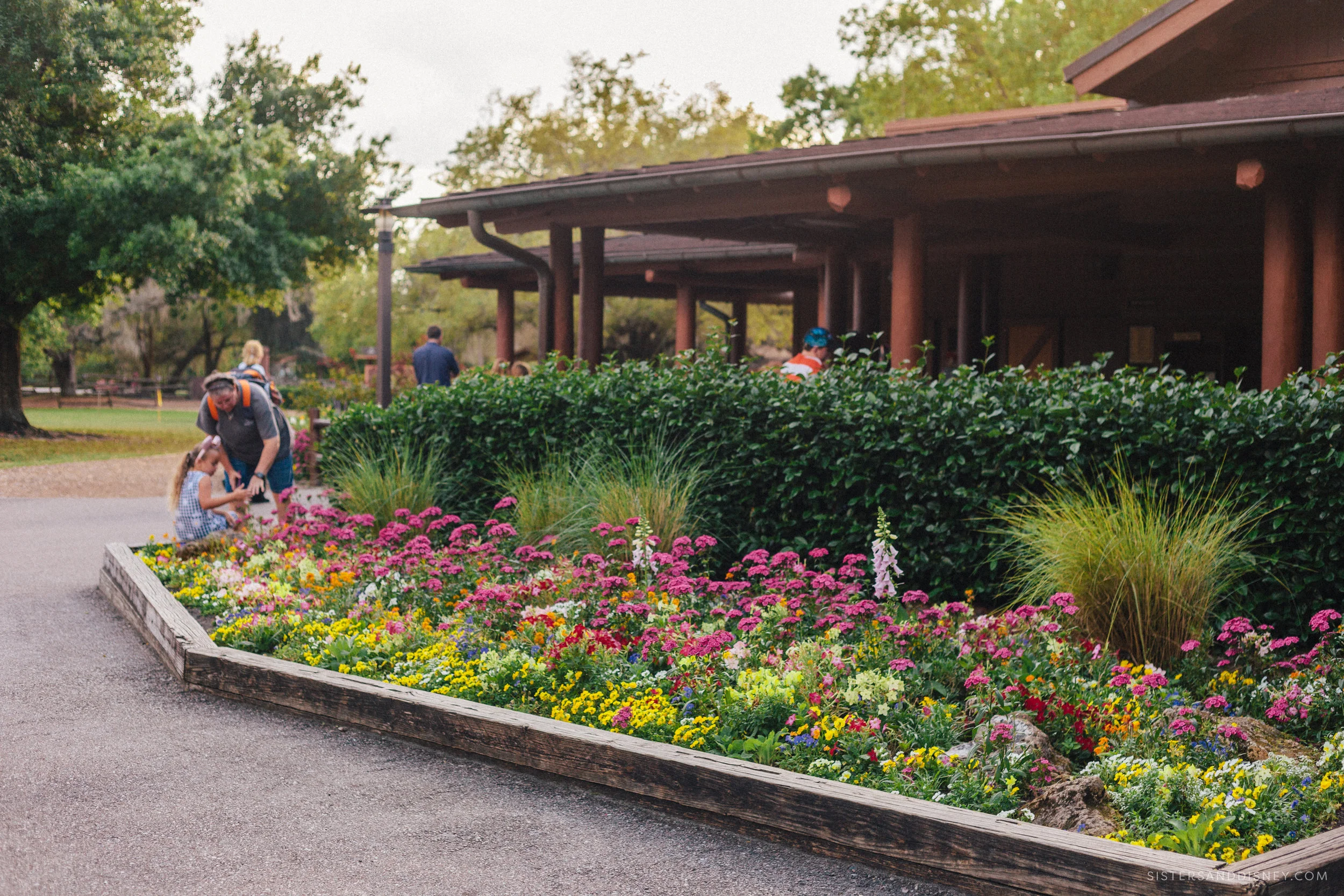 2019Feb_S&D_EricaWDW_ResortHopping-4486.jpg