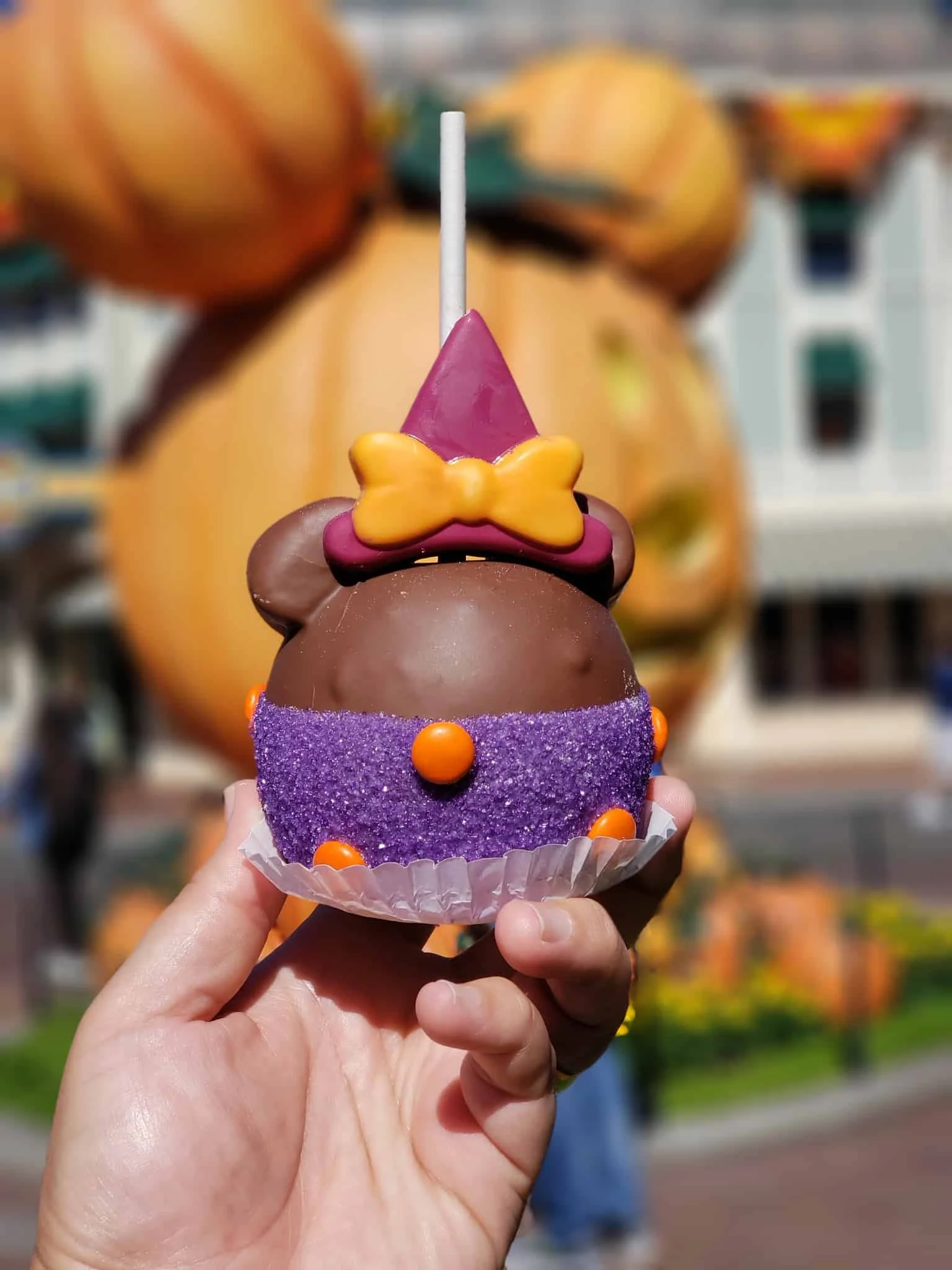 Source: WDW News Today