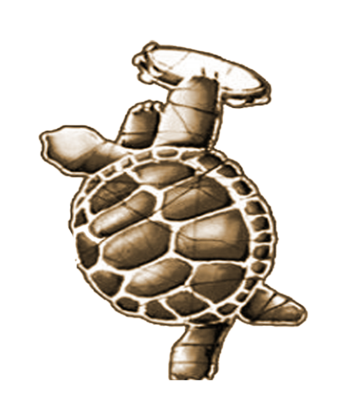TURTLE 1.png