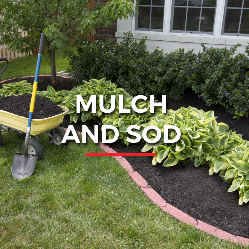 LL_Website graphics_mulch & sod projects.png