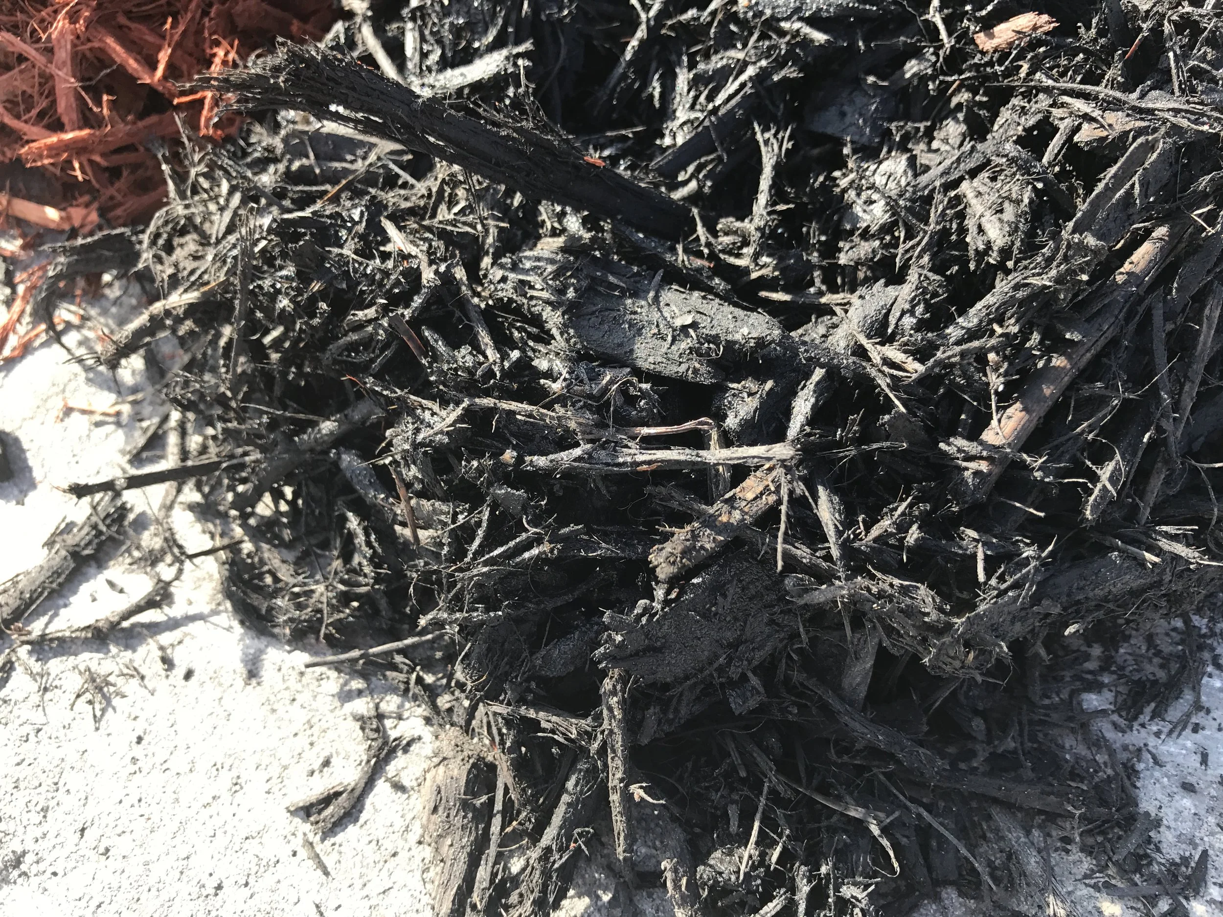 Black Mulch Texture