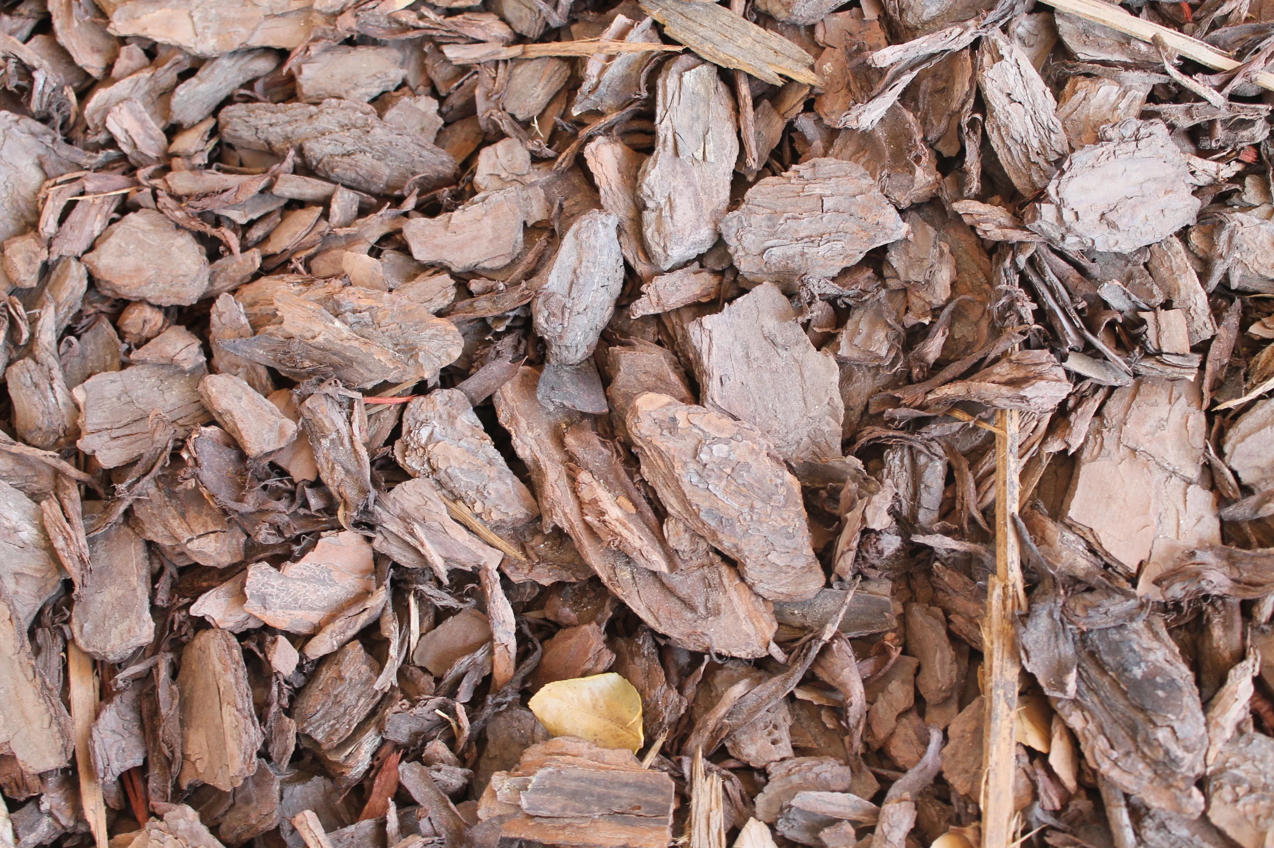 Pine Bark Nuggets