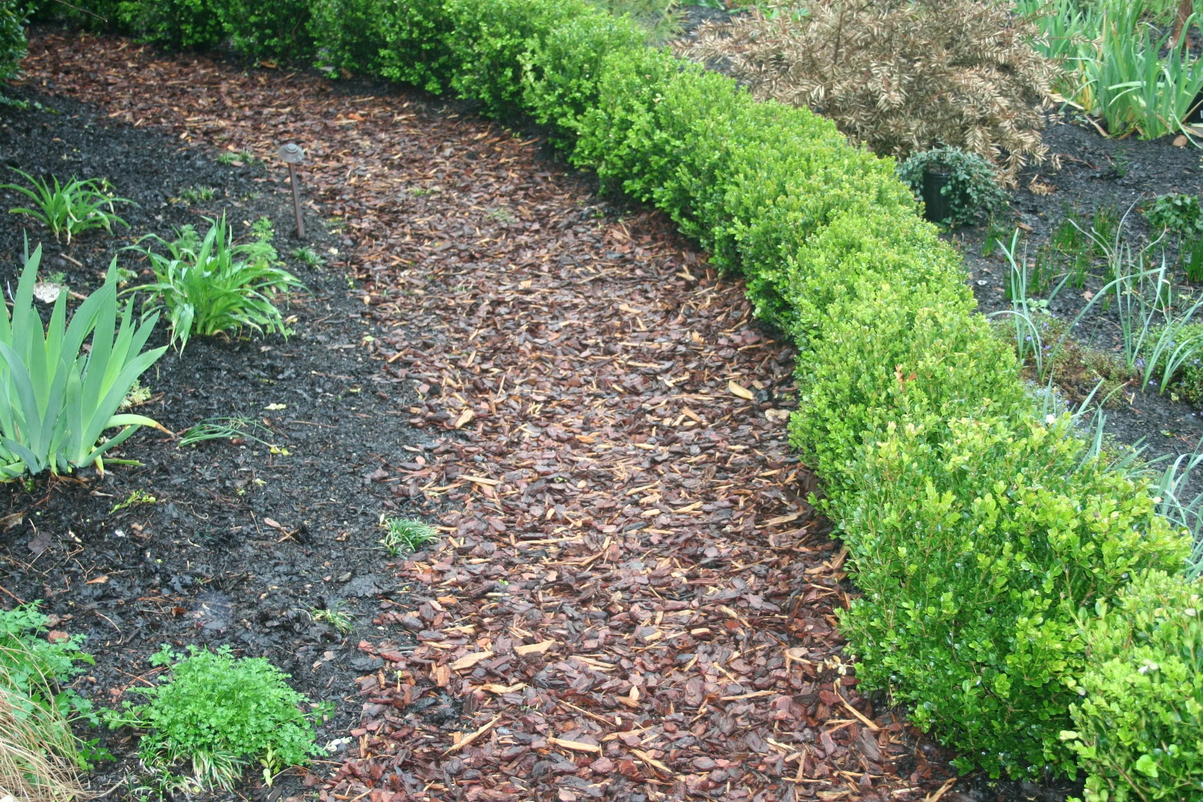 Pine Mulch Installation