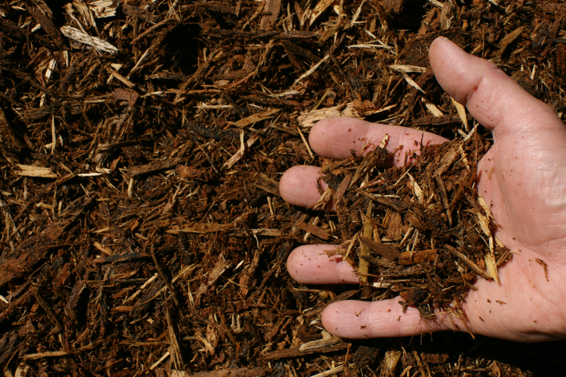 Natural Mulch Texture