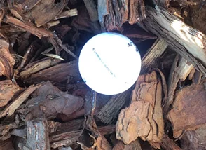 Pine Bark Medium Nuggets