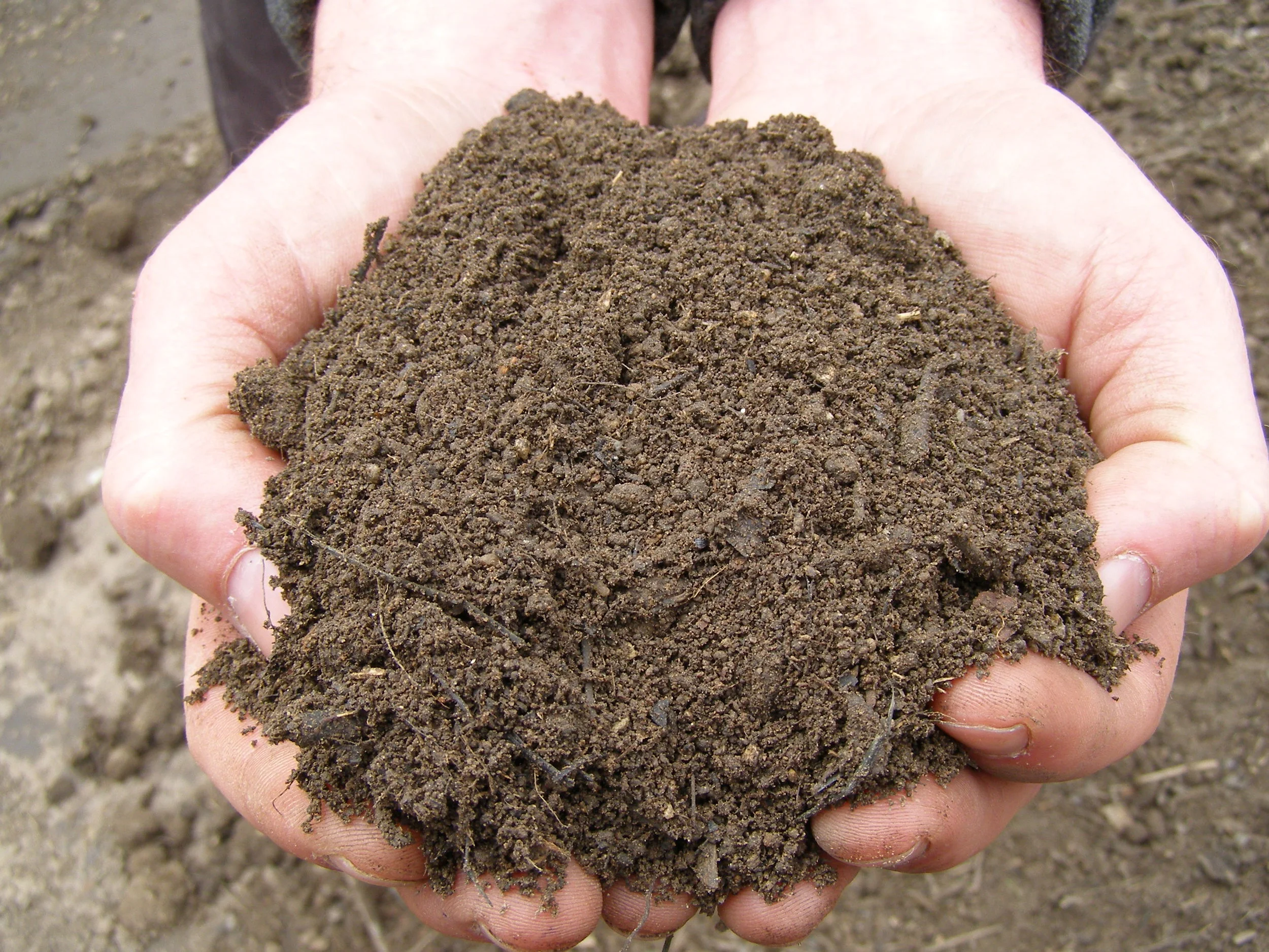 Topsoil & Planting Mixes