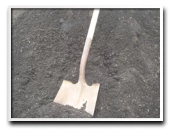 Blackened Topsoil