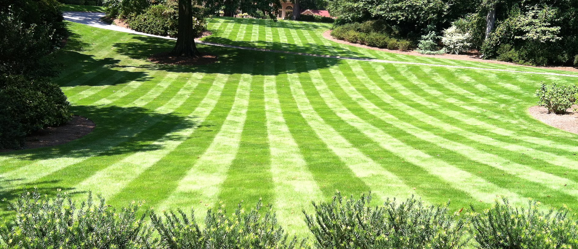 Zeon® Zoysia Installation